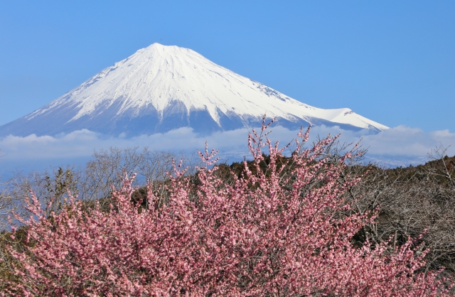 富士山